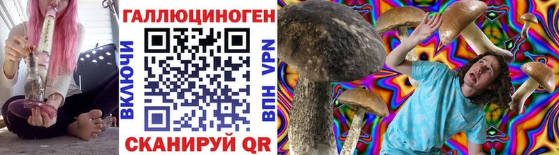 где продают Сарапул Галлюциногенные грибы Magic Shrooms
