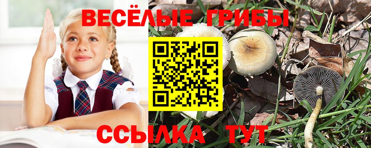 Галлюциногенные грибы мухоморы Сарапул